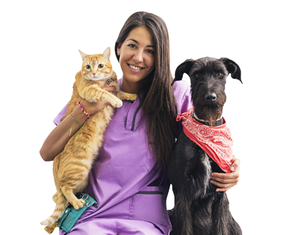 Para Veterinários para veterinarios2 - Para Veterinários