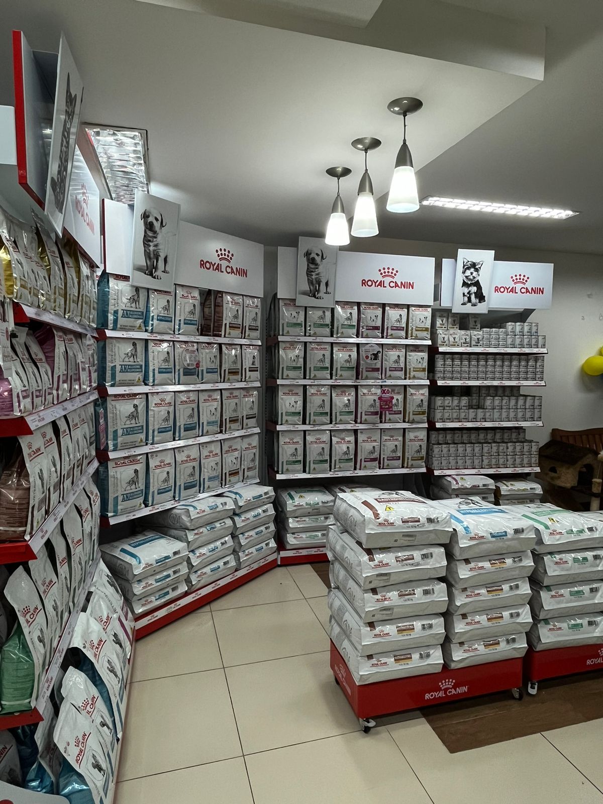 seção Royal Canin - Jardim (11) seção Royal Canin - Jardim (11)