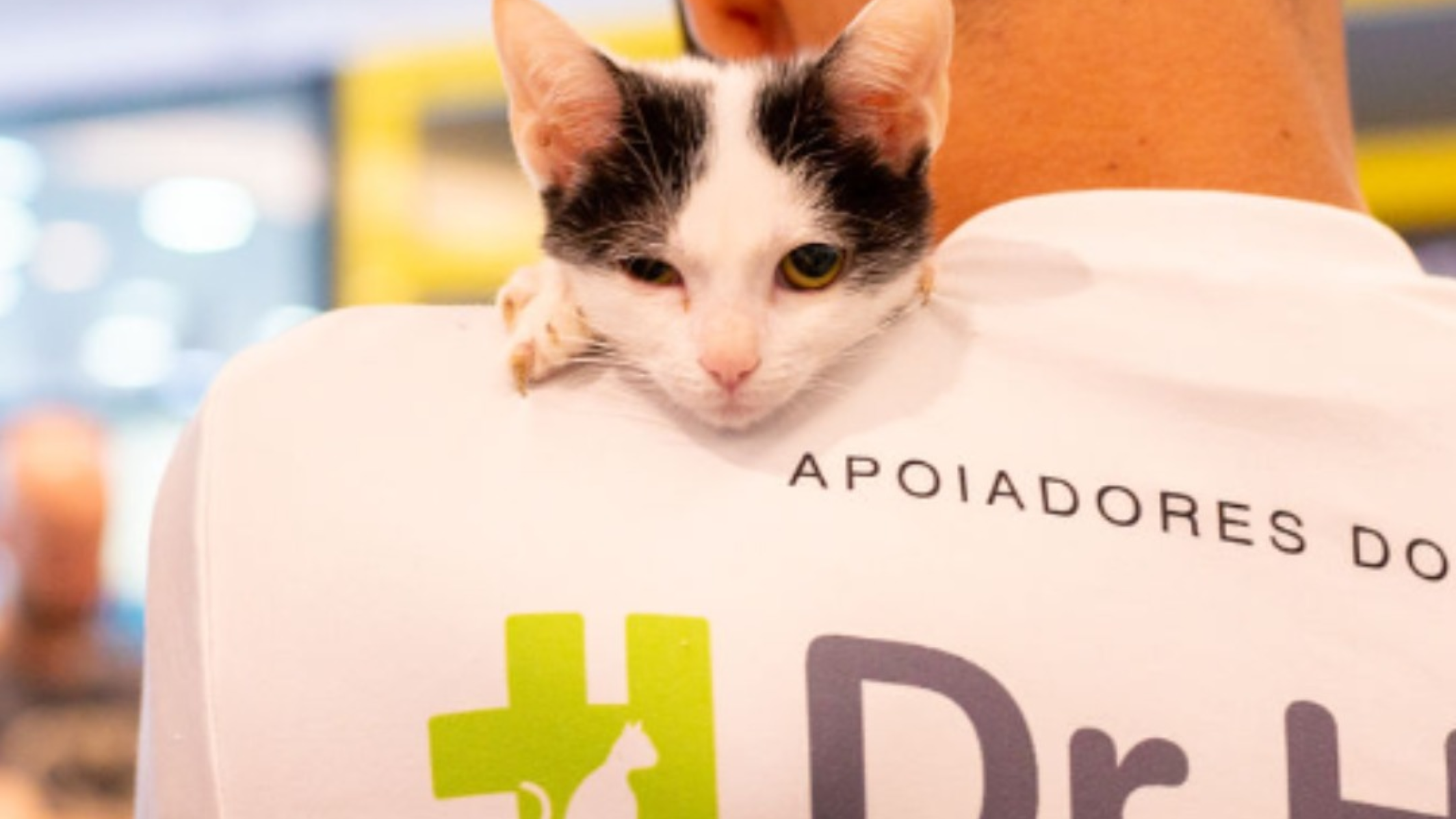 feirasdeadocaopng - Nosso compromisso com os animais: adoção responsável e ética veterinária