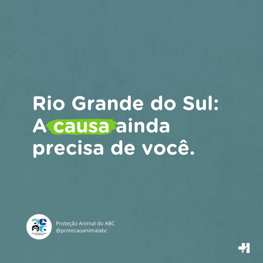 0107 colab adocao rs - Rio Grande do Sul: A causa ainda precisa de você! Feira de Adoção 20/07/2024