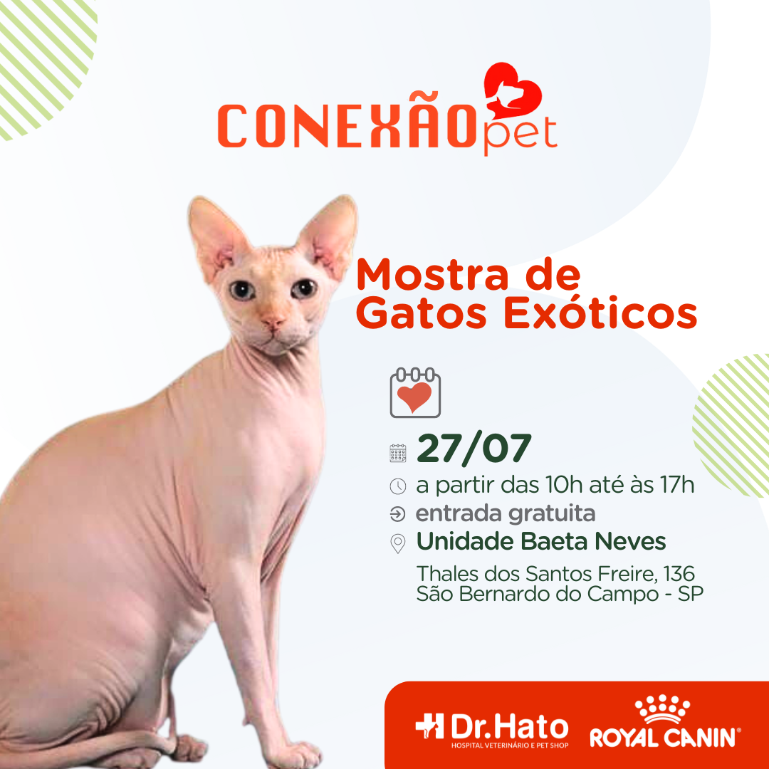 1 - 2ª Mostra de Gatos Exóticos no Dr. Hato unidade Baeta Neves!