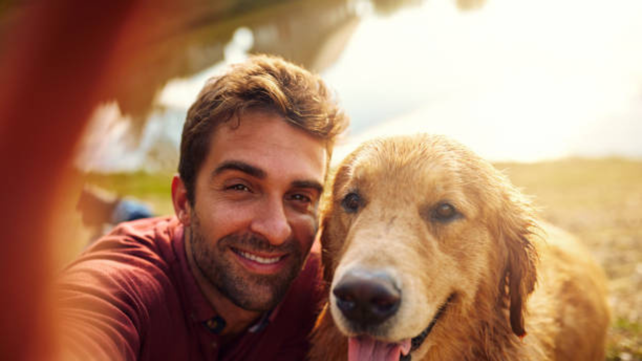 dia internacional da amizade 1 - A amizade canina: tudo sobre os melhores amigos do homem