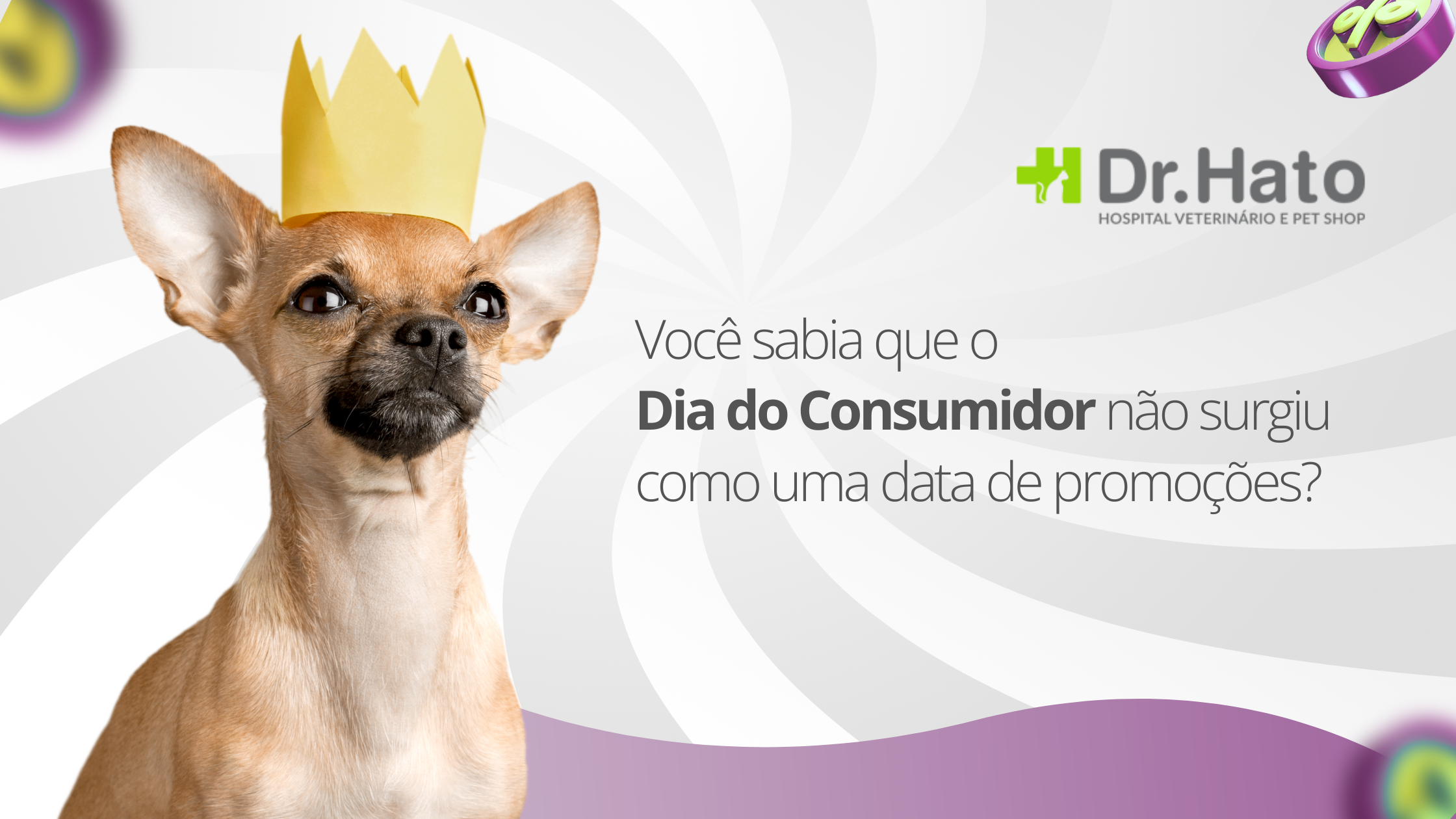 1503 dia do consumidor blog - Dia do Consumidor: Aproveite as promoções imperdíveis no pet shop Dr. Hato!